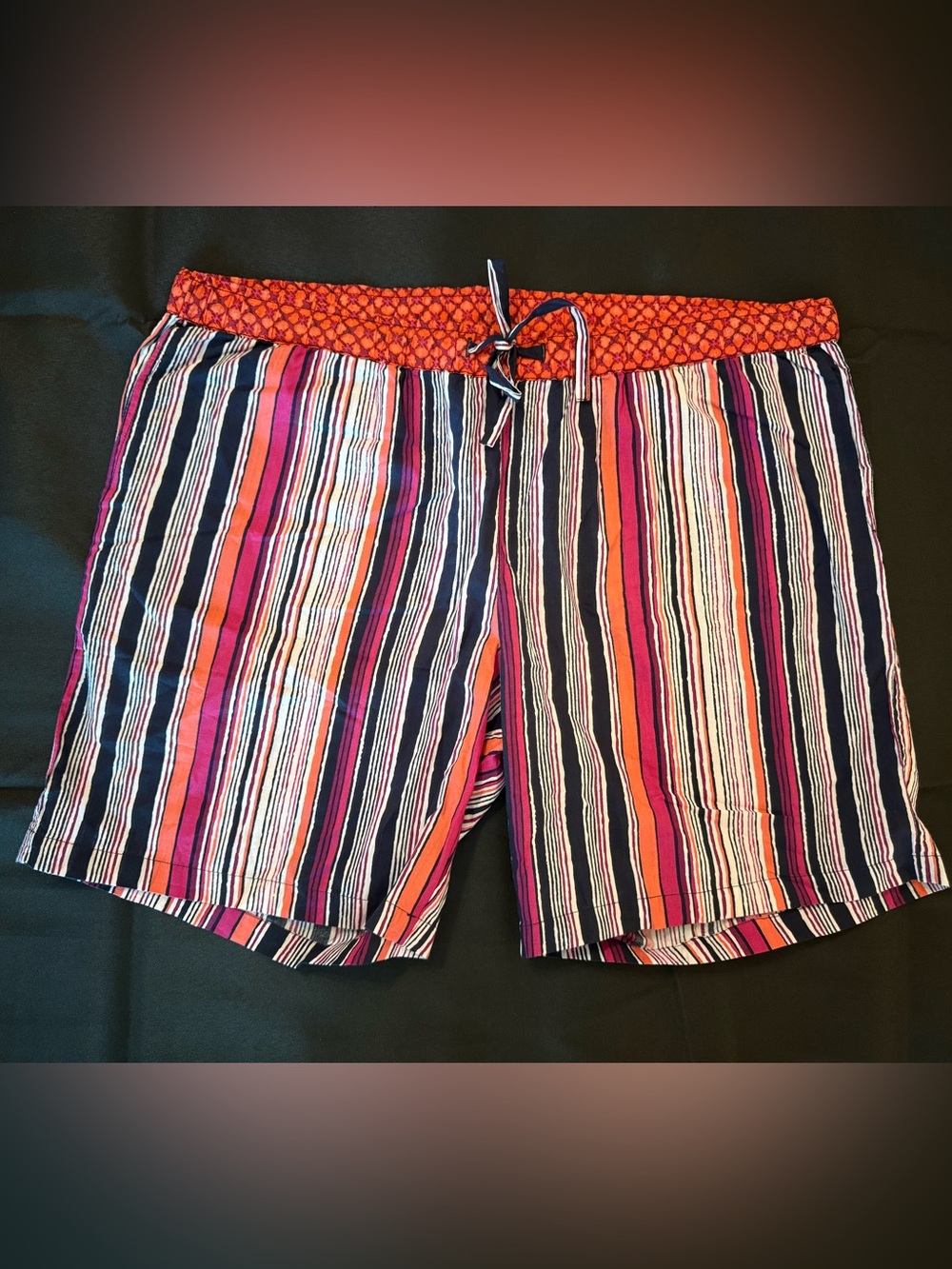 Sundance Leia II Striped Cotton Shorts Large